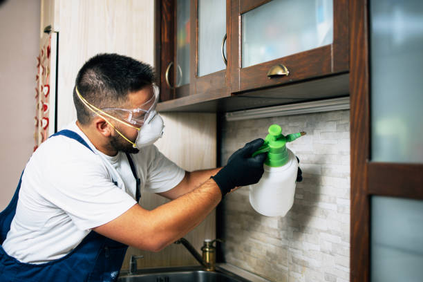 Best Rat Extermination Near Me  in Monongah, WV