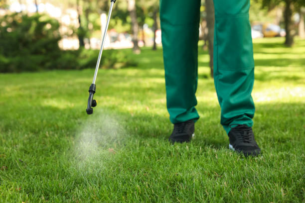 Wasp Removal Services in Monongah, WV