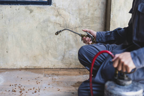 Best Pest Inspection Near Me  in Monongah, WV